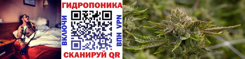 Купить  Валдай  Конопля VHQ 